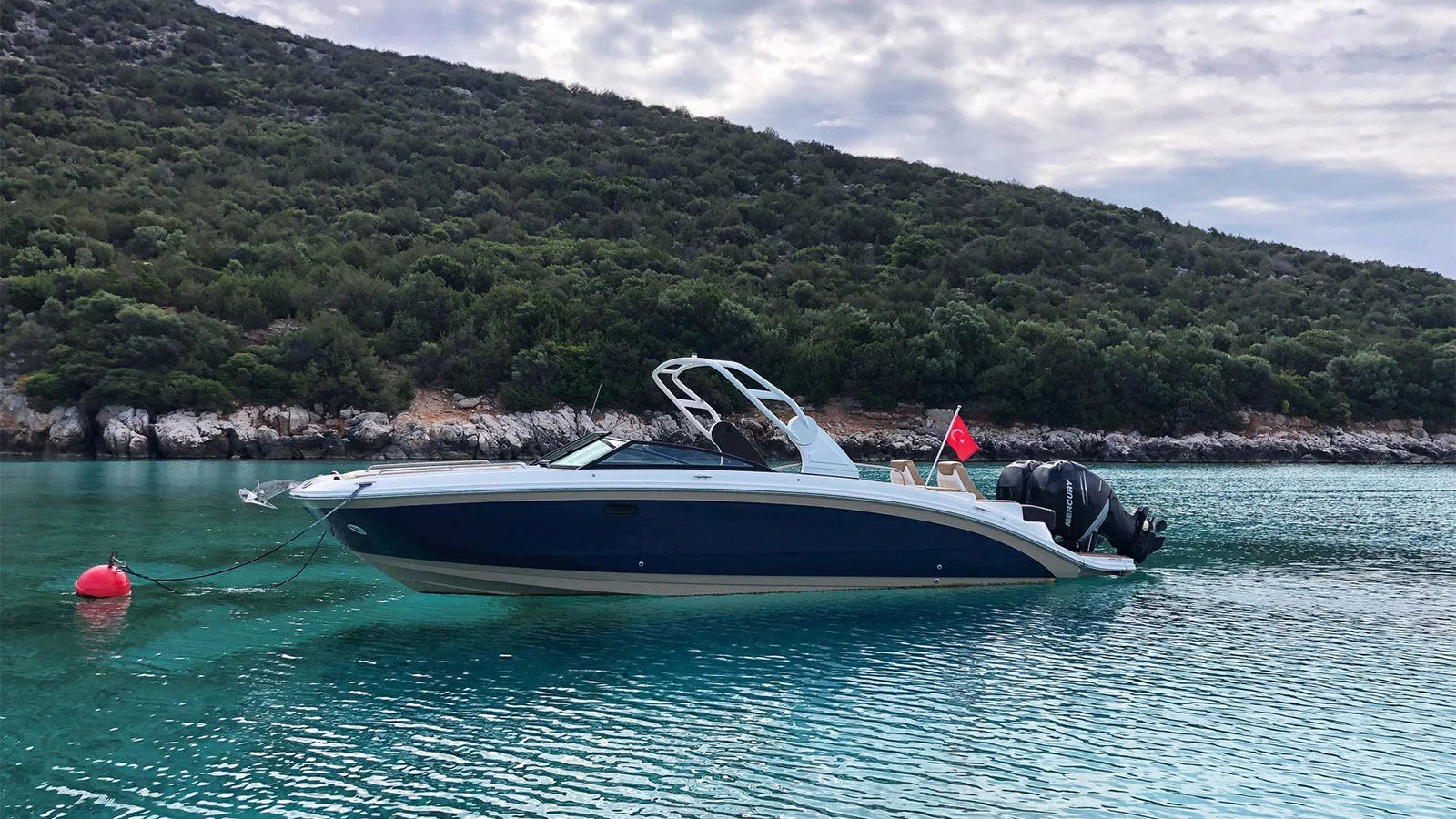 2018 Sea Ray SDX 290 Outboard